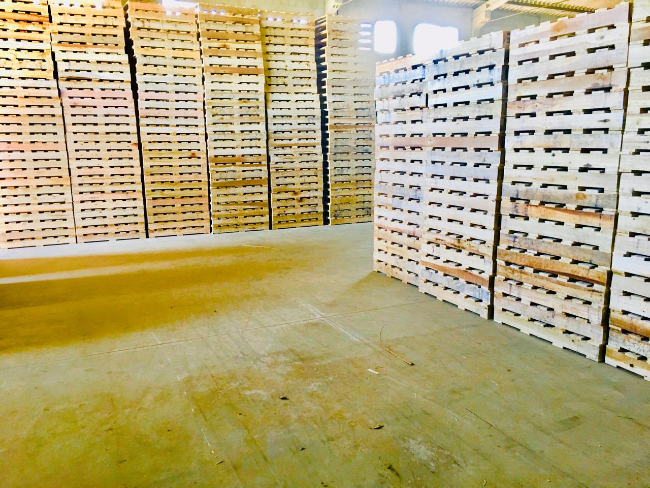 Forklift em depósito de paletes